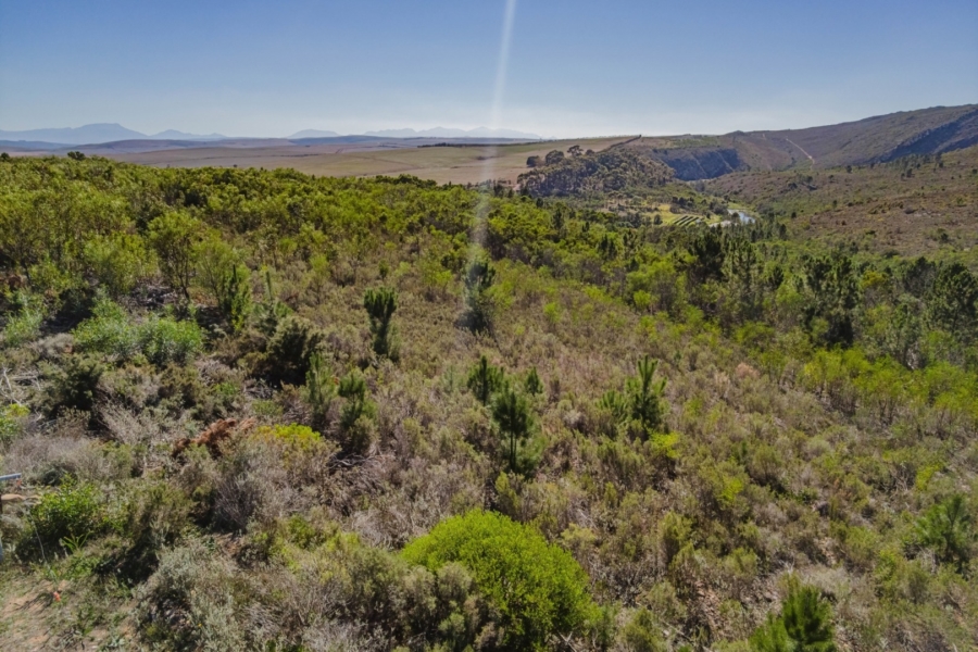 Commercial Property for Sale in Bot River Western Cape